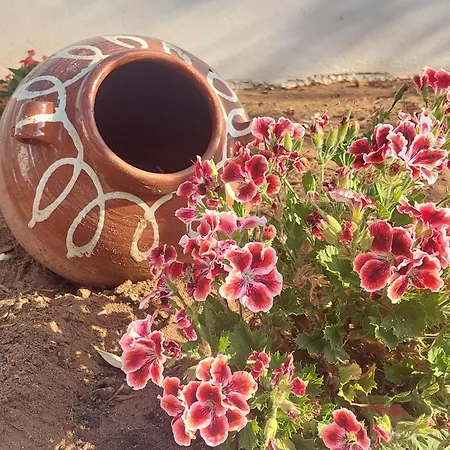 Daire Aremar Elafonisos