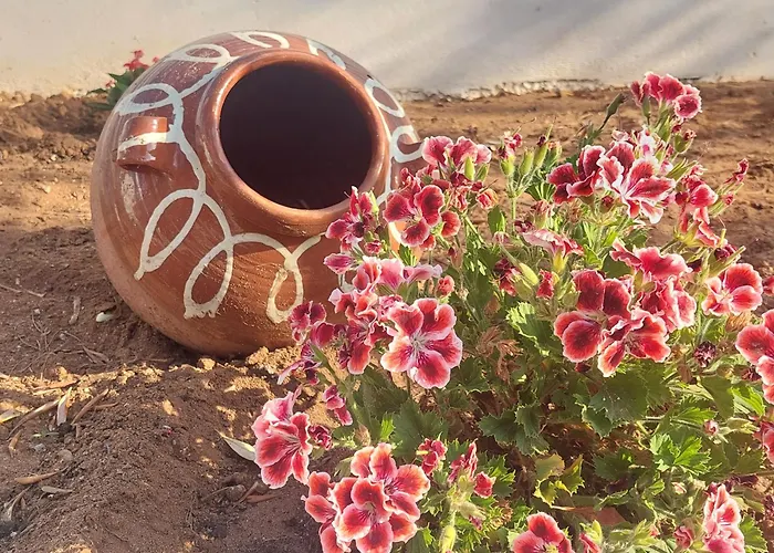 Апартаменты Aremar Elafonisos